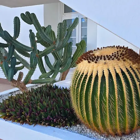 公寓 Malibu Park With Ocean View *