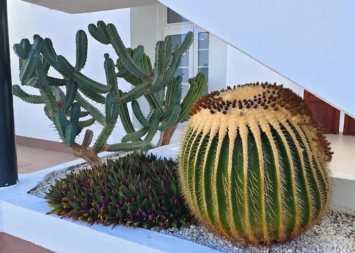 Appartamento Malibu Park With Ocean View *